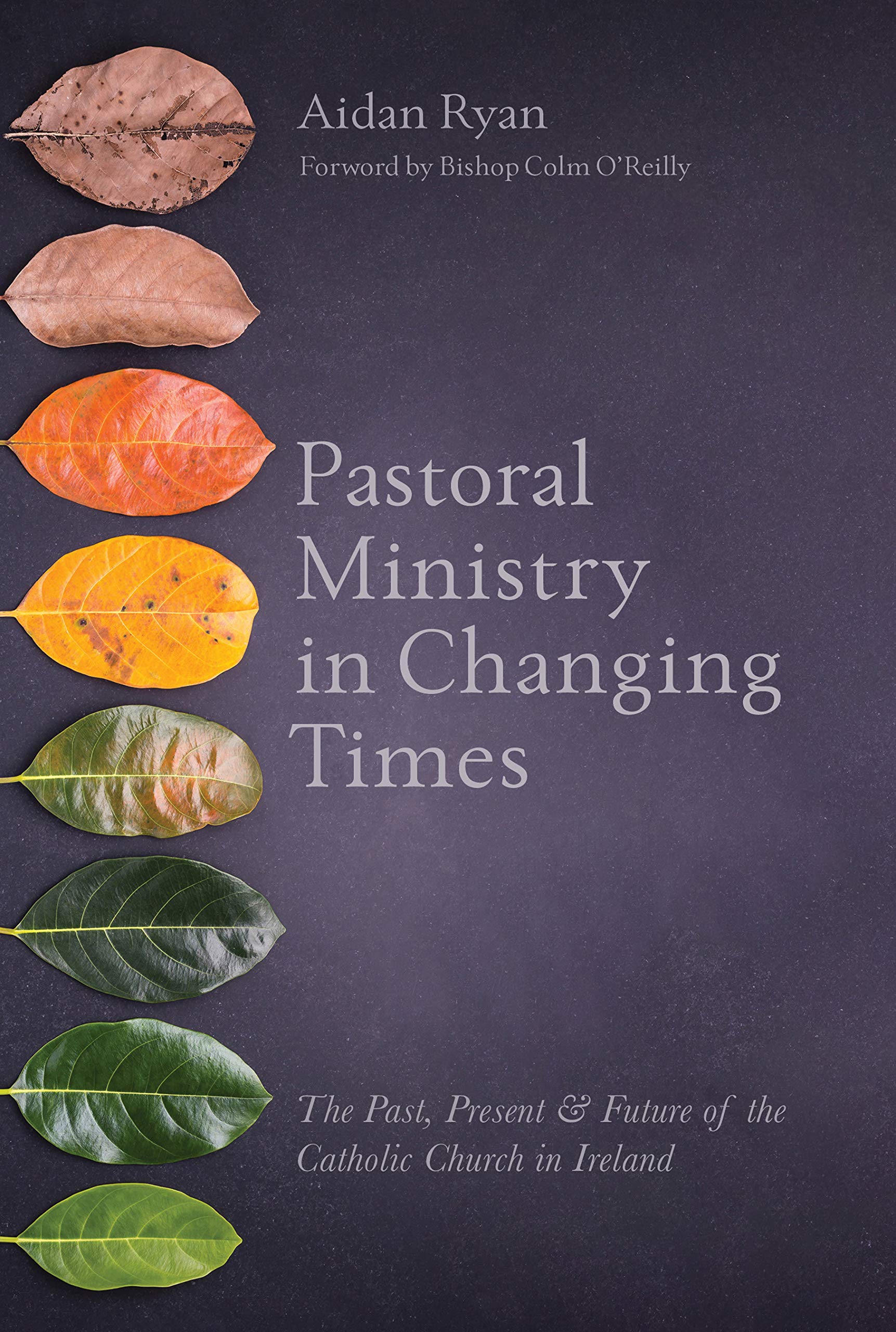 Messenger Publications Pastoral Ministry In Changing Times : The Past, Present & Future Of The Catholic Church In Ireland