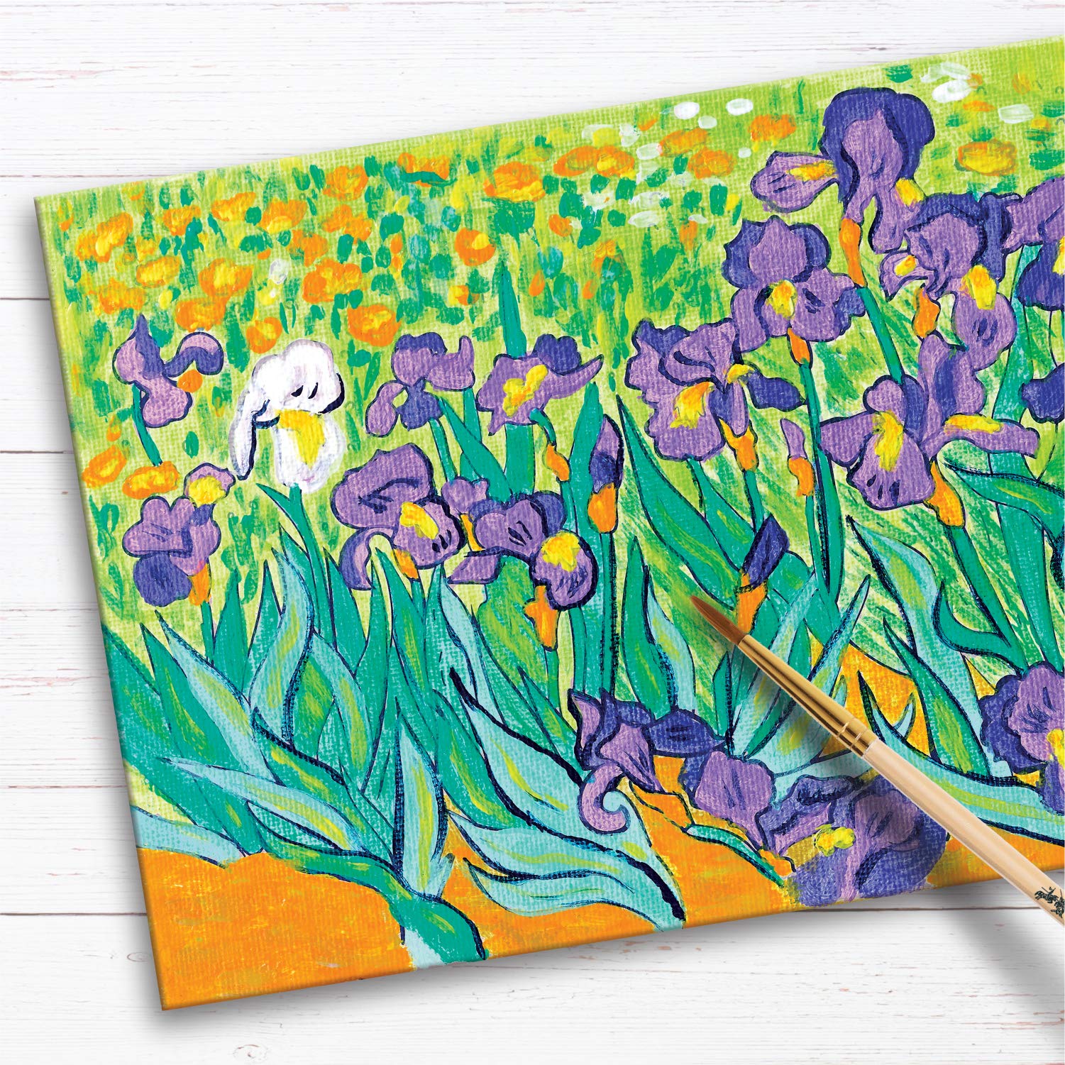 FaberCastell Museum Series Paint by Numbers Vincent Van Gogh Irises
