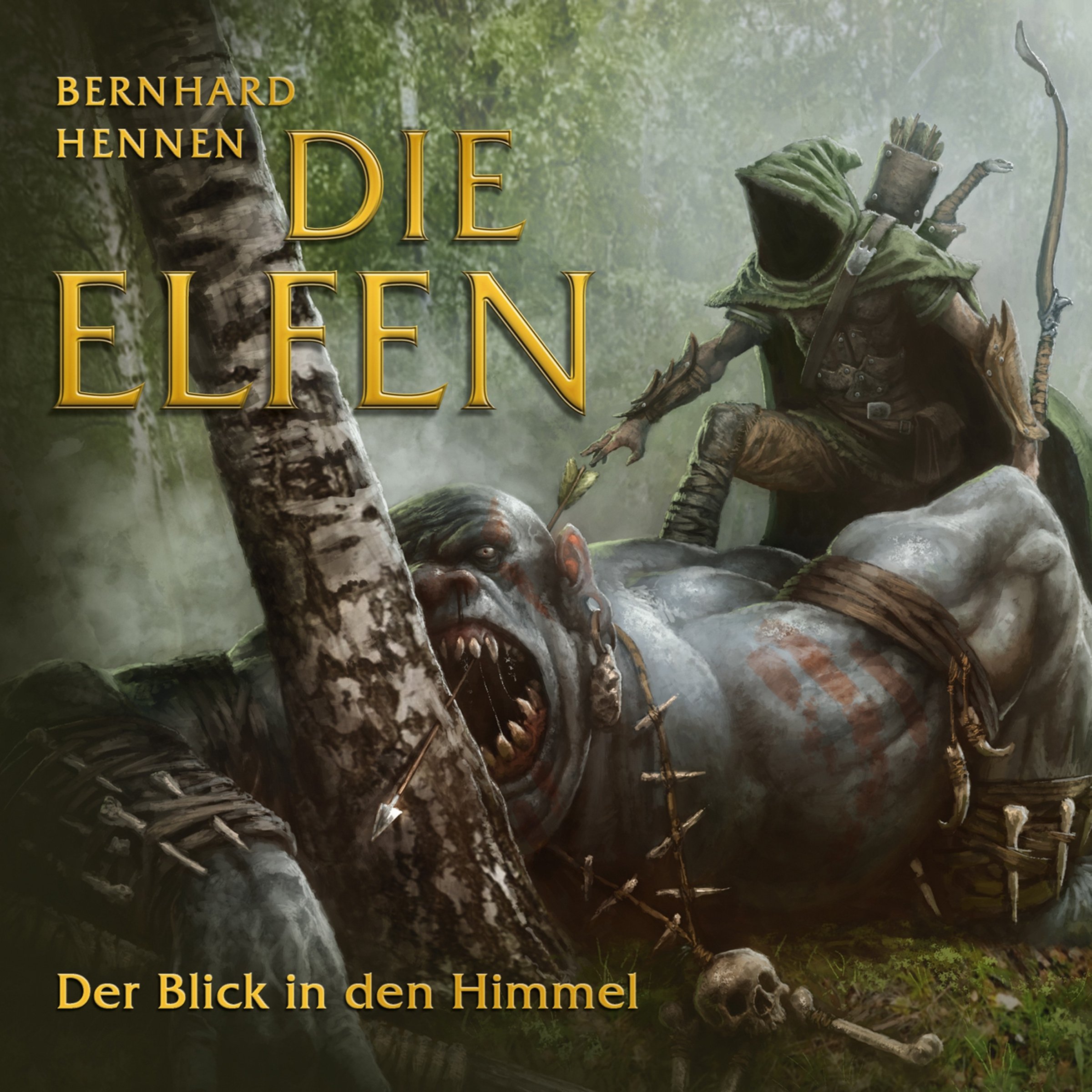 Cover art for Der Blick in den Himmel