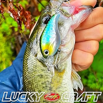 Amazon.co.jp: ラッキークラフト(LUCKY CRAFT)クラッチMR DR