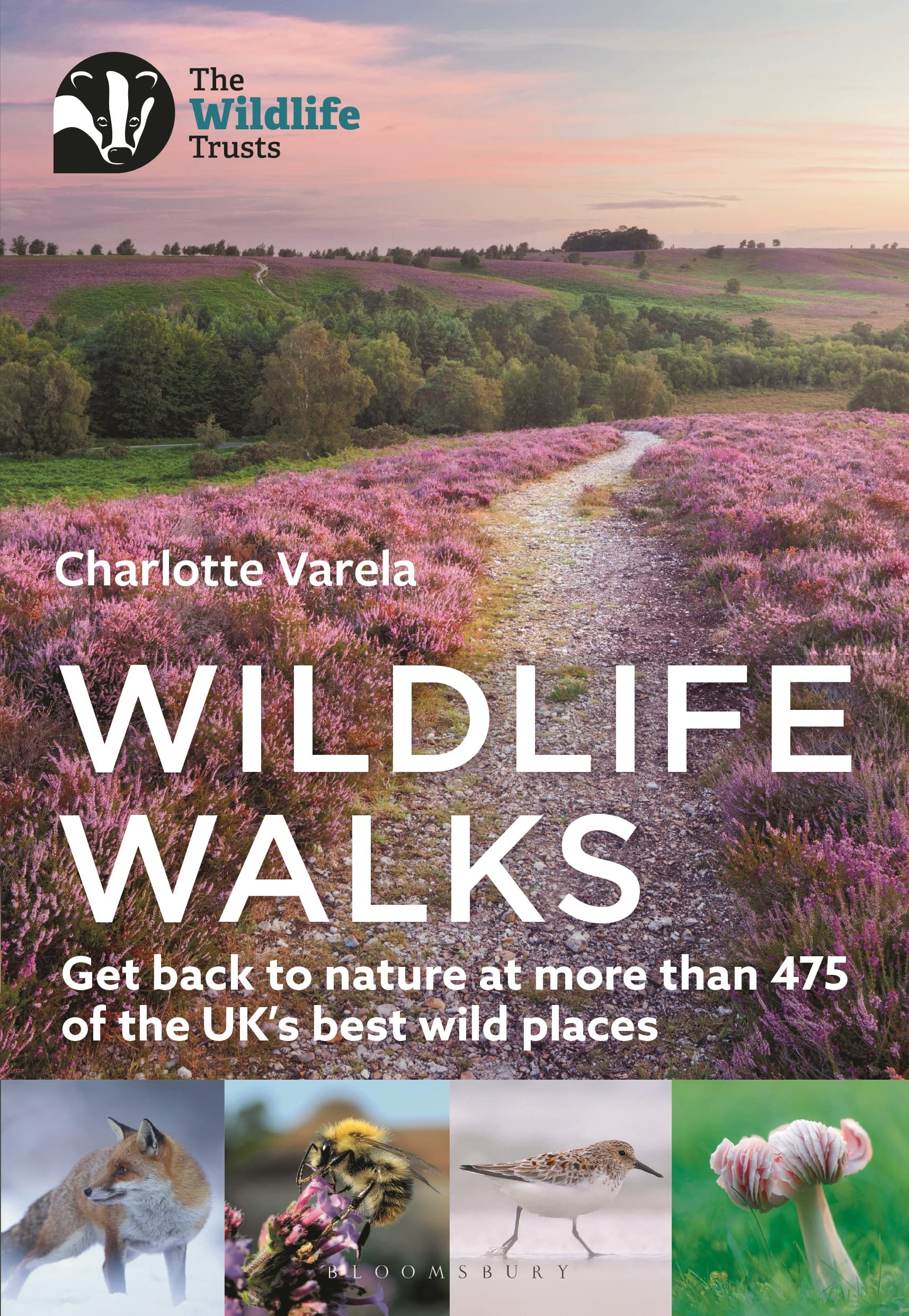 Wildlife Walks: Get back to nature at more than 475 of the UK's