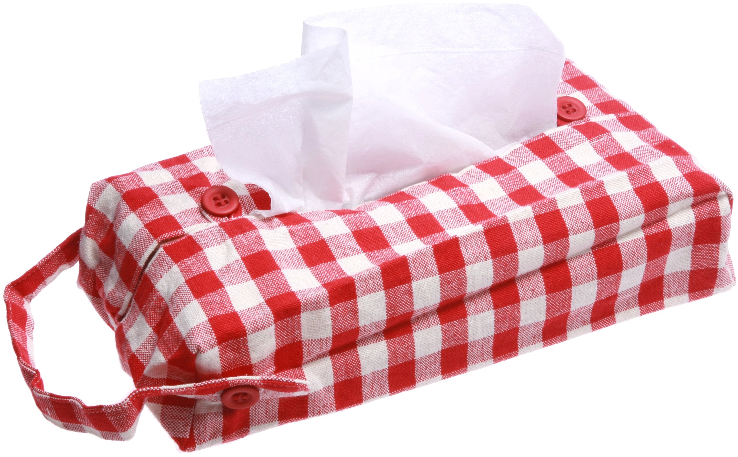 C/S ギンガムチェック キッズ ティッシュケース ラミネート BL1