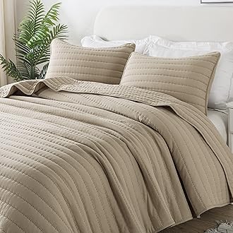 ROARINGWILD Beige Cream Tan Queen Size Quilt Bedding Sets with Pillow Shams, Full Lightweight Soft Bedspread Coverlet, Quilted Blanket Thin Comforter Bed Cover for All Season, 3 Pieces, 90x90 inches