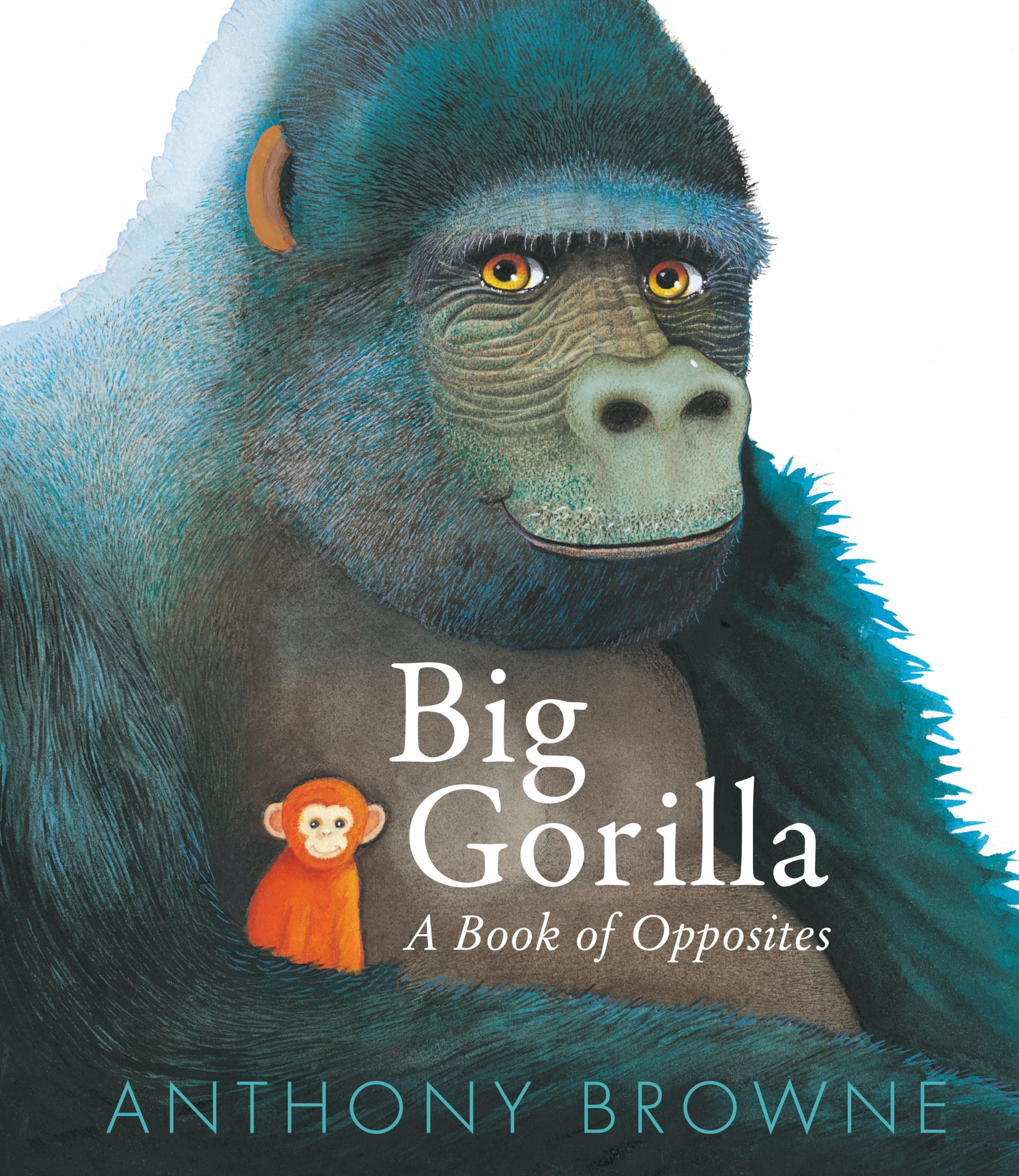 Big Gorilla A Book of Opposites by Anthony Browne HARDBACK 9781529509588