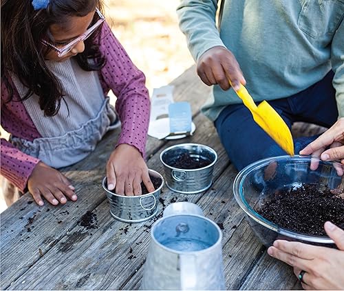Miniatura 12 de Buzzy Kit de árbol de Navidad de abeto de semillas para cultivar, completo con una mini maceta galvanizada, semillas sin OMG y medio de cultivo