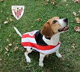 Ver la foto 5