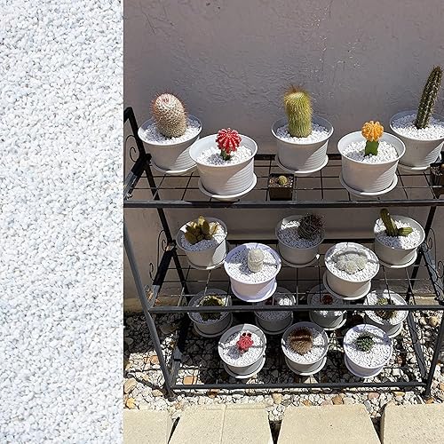 Miniatura 5 de Avalution Suculentas de grava blanca de 0.236 a 0.315 pulgadas y cactus bonsái, proyectos de bricolaje, rocas, plantas de ónix blanco, rocas para