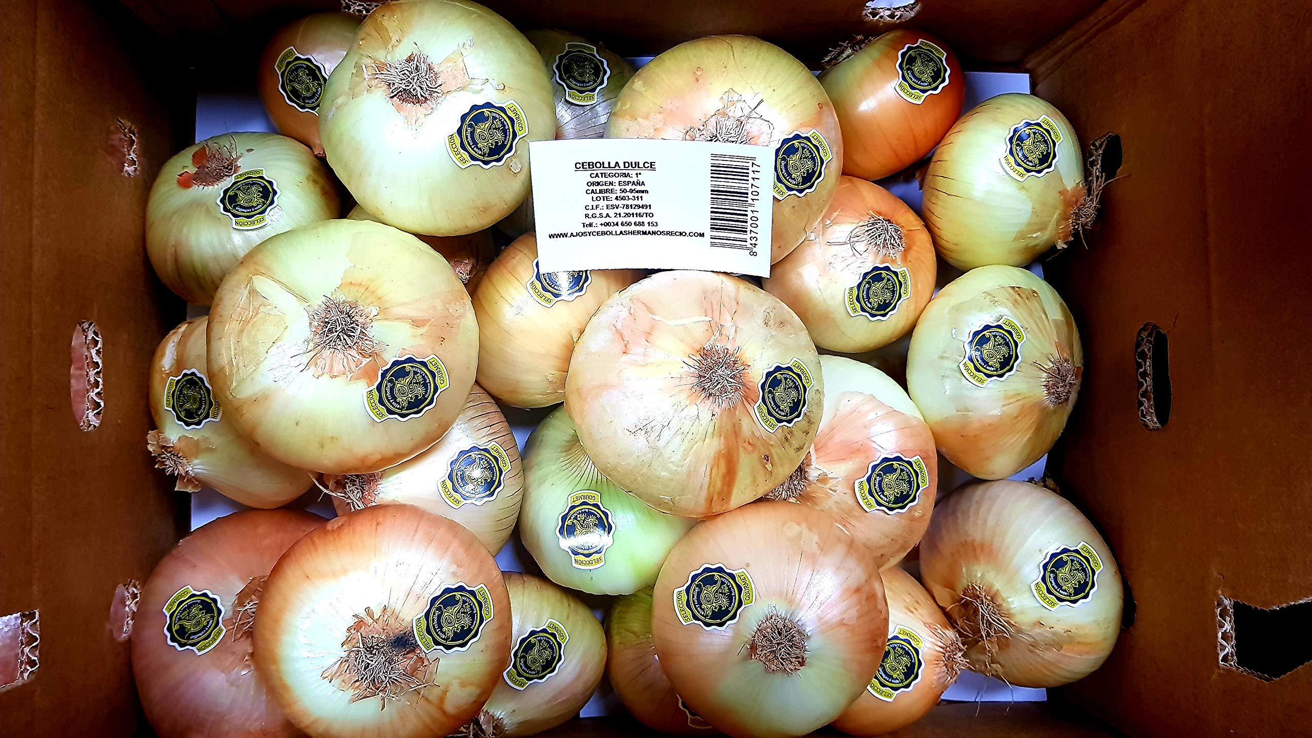 10 kg. Cebolla Dulce - Selección Gourmet