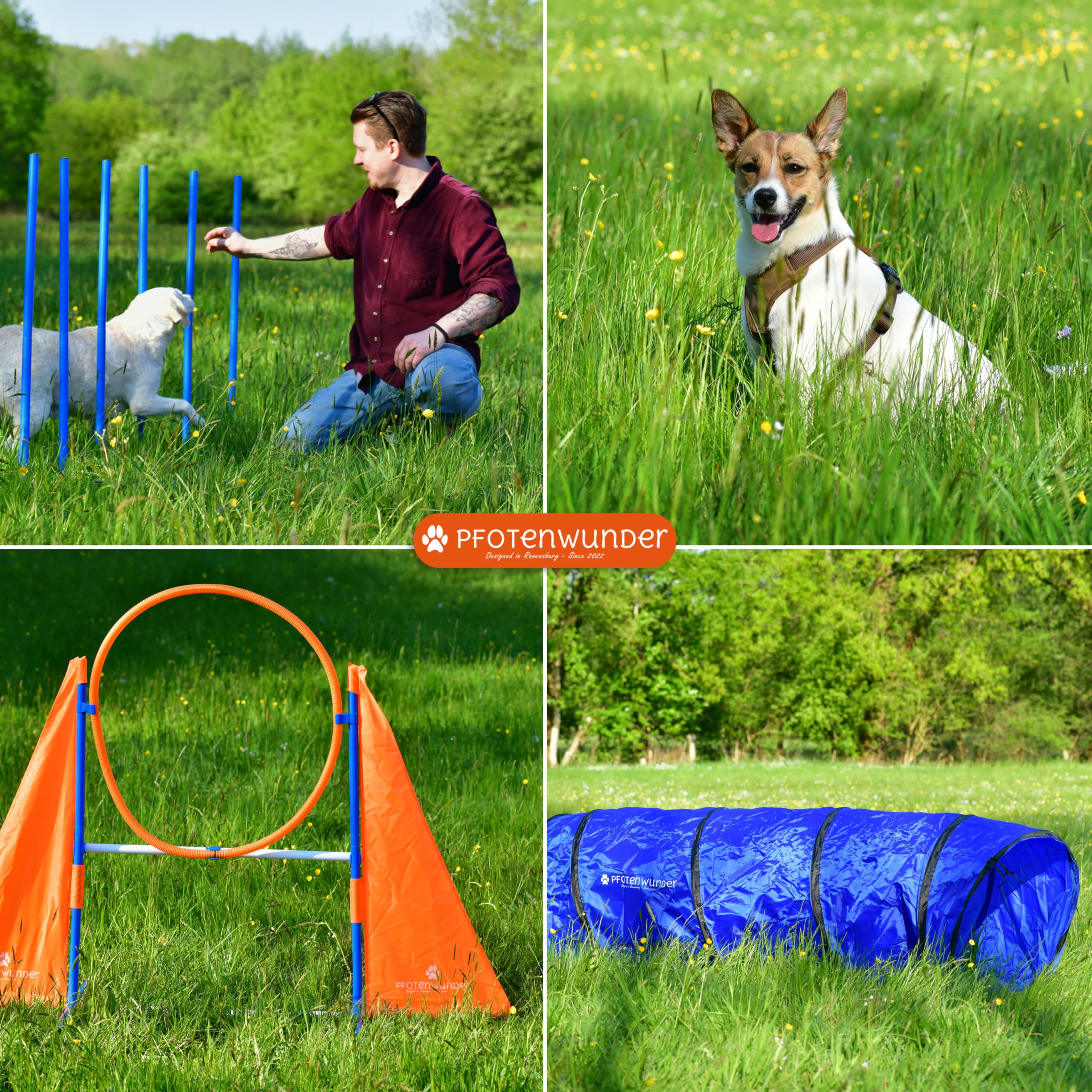 For Dogs Agility Kit K9 Agility Training MIDDLE Agility Set For Dog