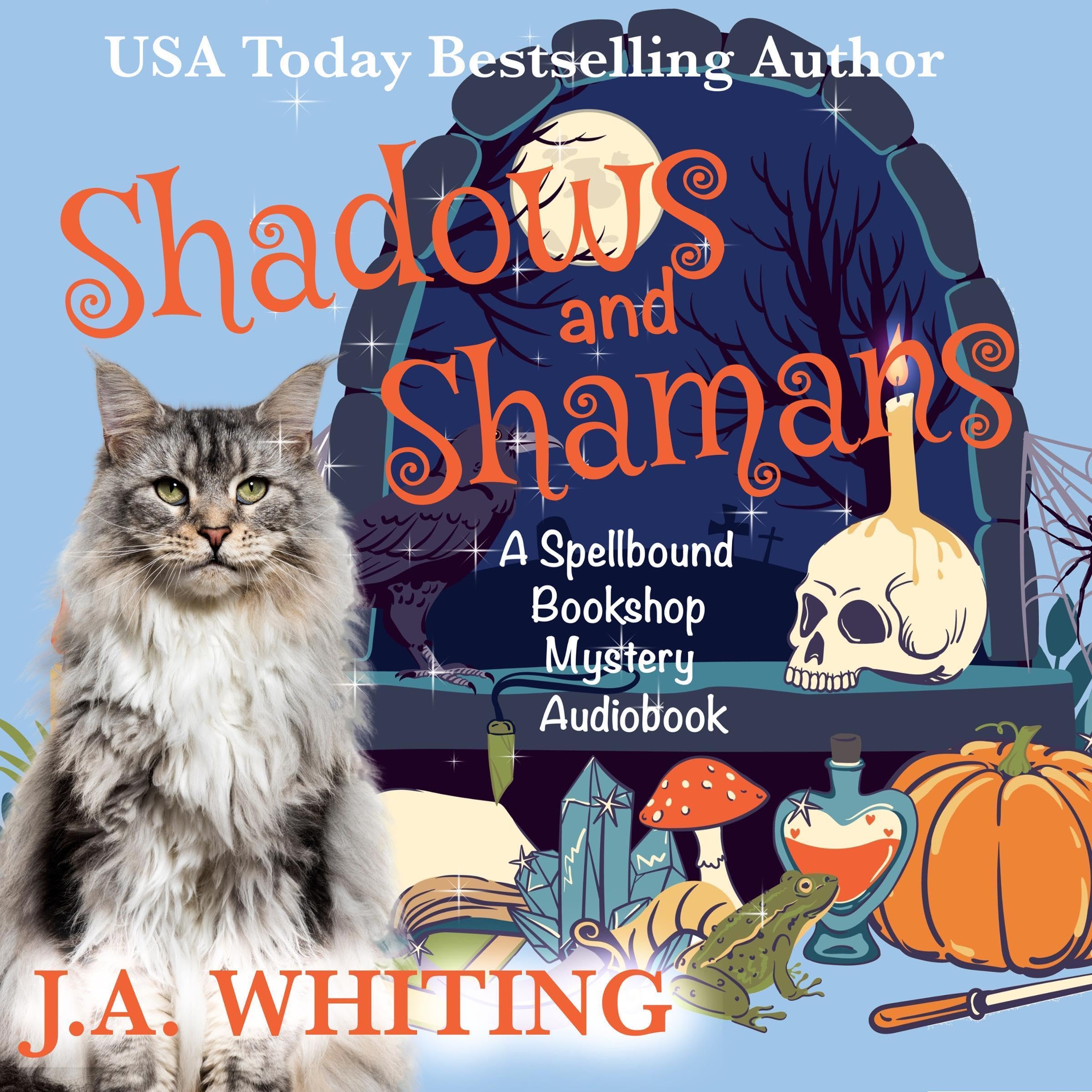 Cover art for Shadows and Shamans