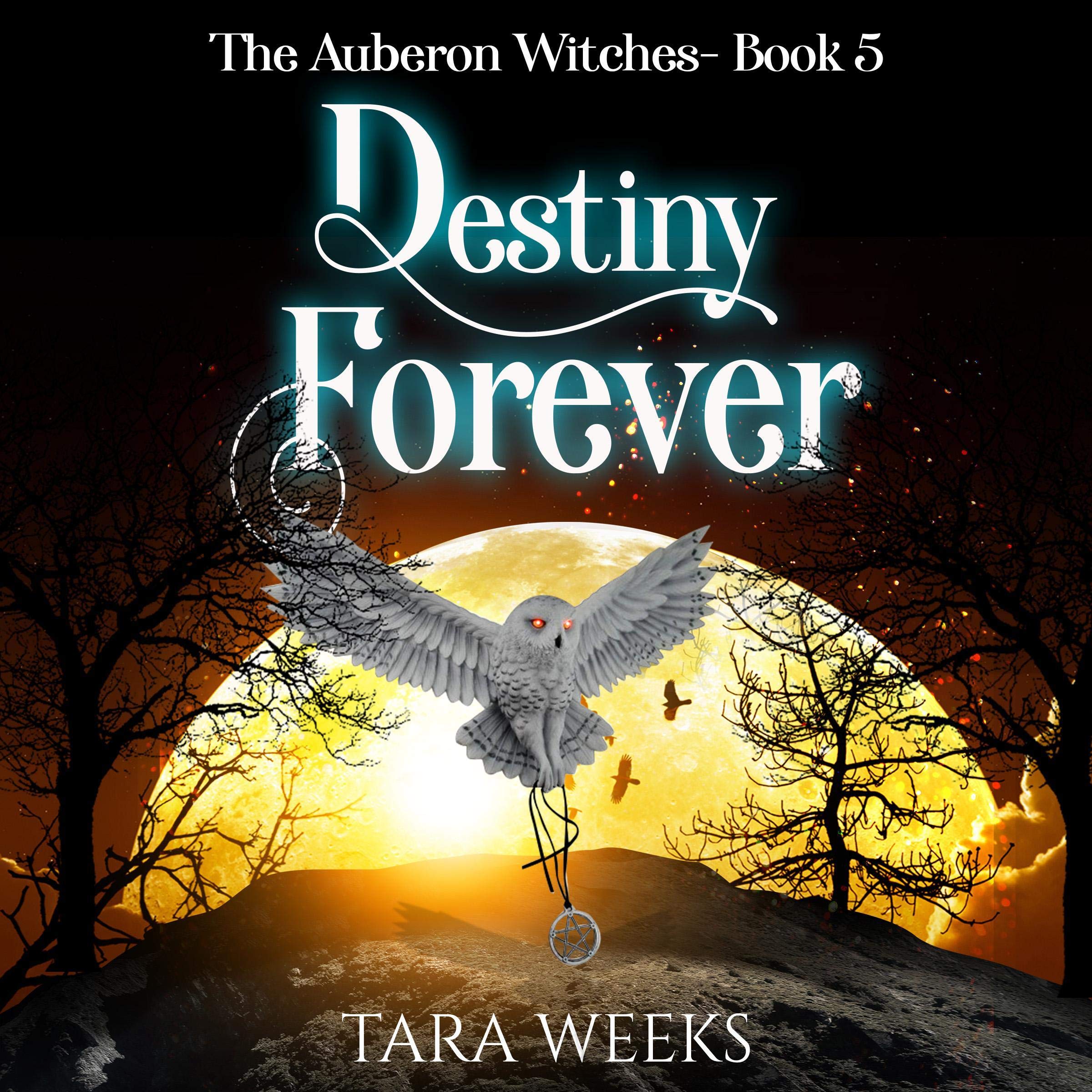 Cover art for Destiny Forever