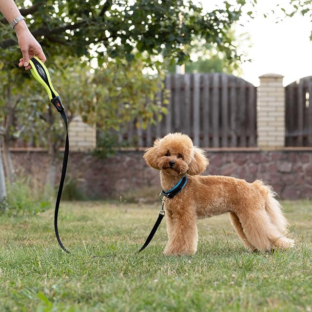 Foto 2 de 5 de Ferplast Correa Perro ERGOFLUO, para Perros pequeños, Asa ergonómica Acolchada, Nylon. Tamaño 120 cm, Amarillo