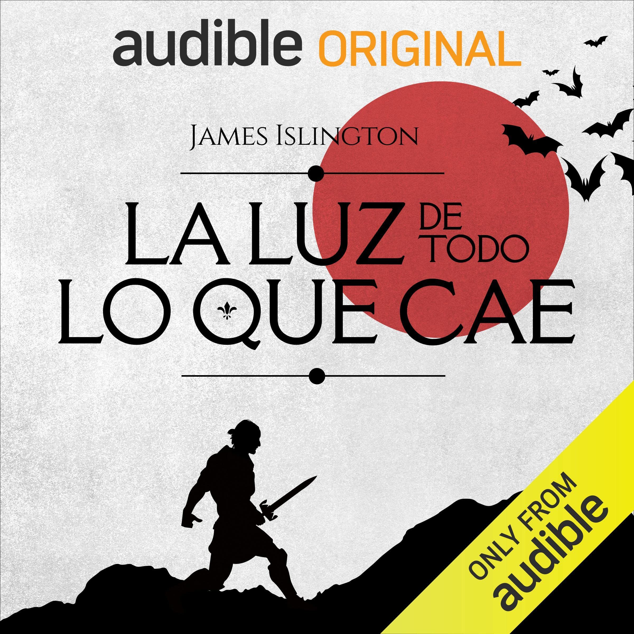 Cover art for La luz de todo lo que cae (Narración en Castellano) [The Light of All That Falls]