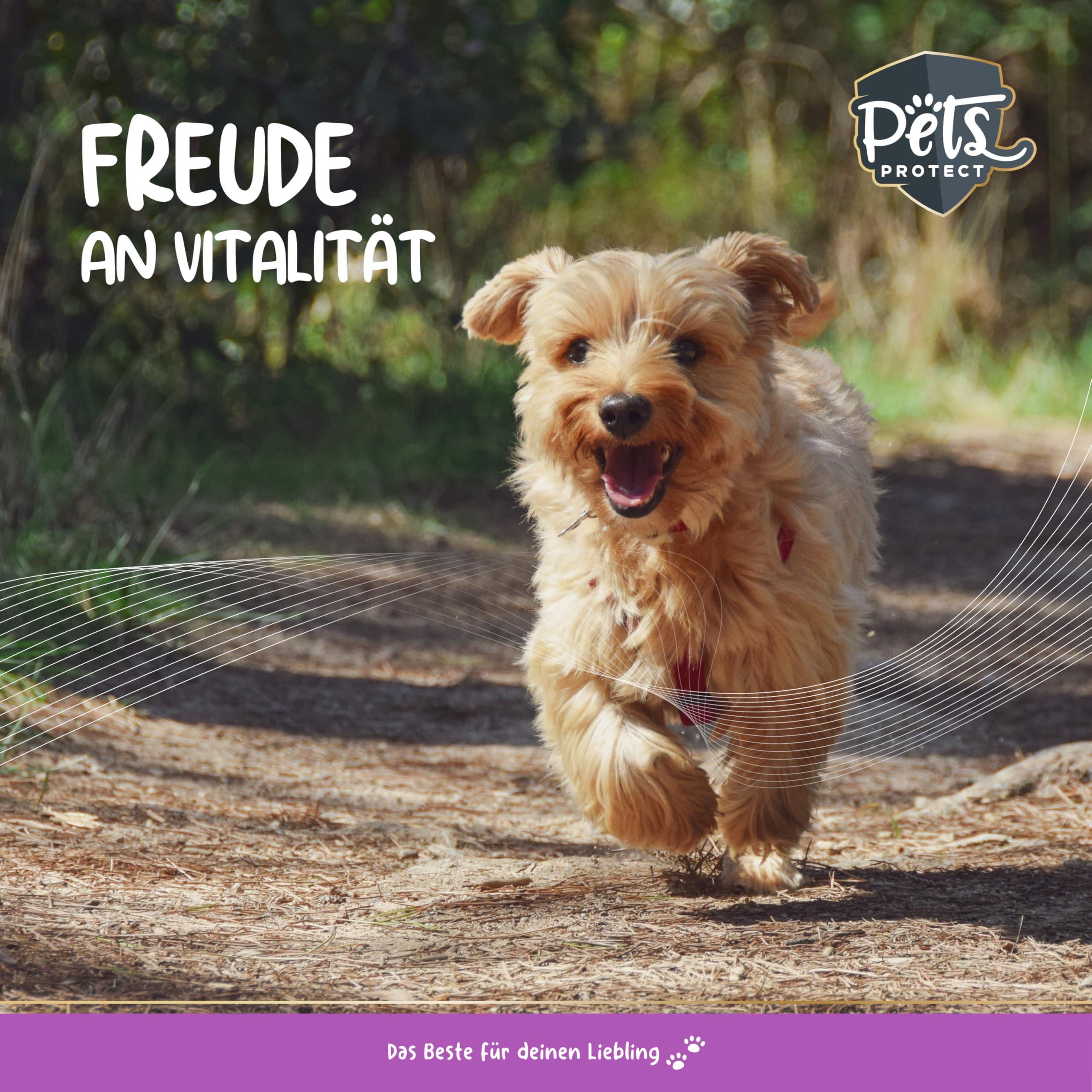 Pets PROTECT Polvere di Guscio d'uovo Biologico, 200 g, fonte Naturale di Calcio per Cani e Gatti, Farina di Guscio d'uovo Biologico, Ricca di minerali e Sostanze nutritive ad Alta biodisponibilità
