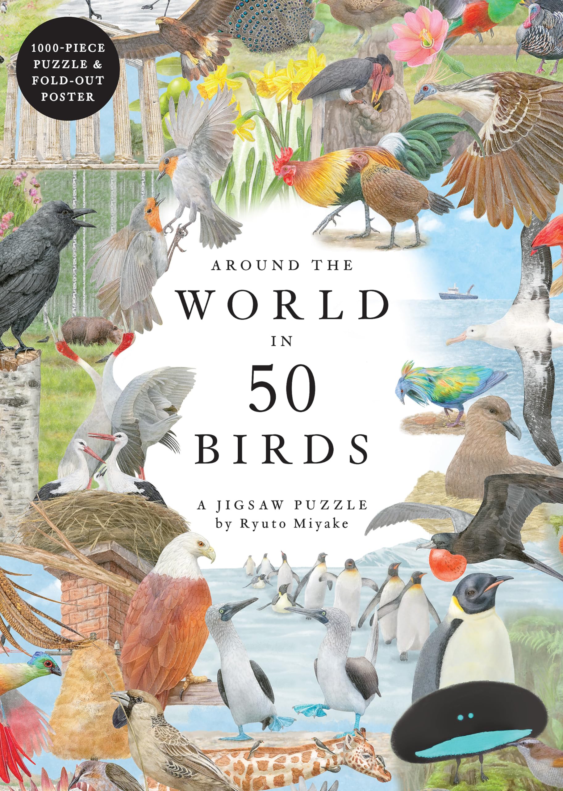 Laurence King Around the World in 50 Birds 1000 Piece Puzzle: 1000 Piece Jigsaw