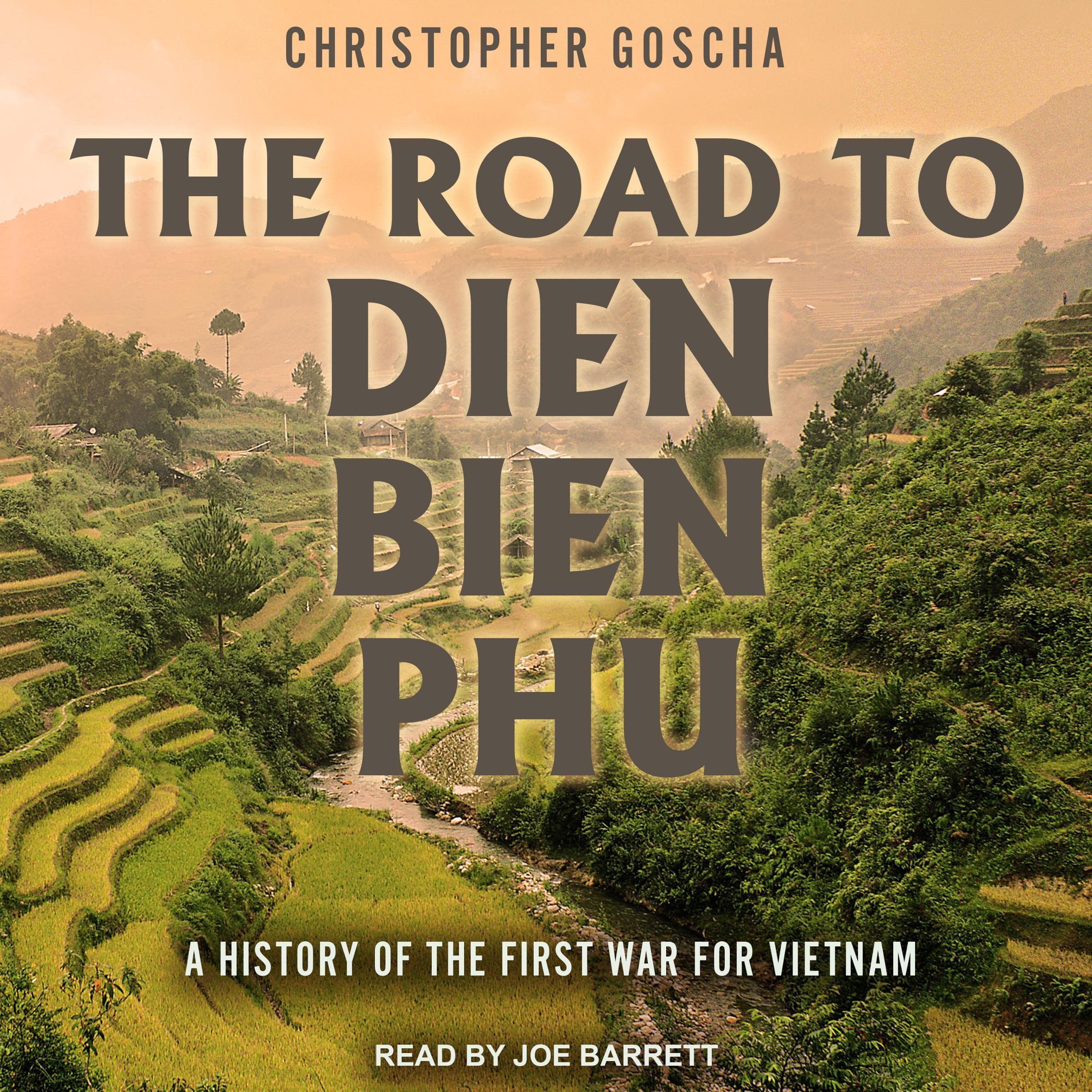 Cover art for The Road to Dien Bien Phu