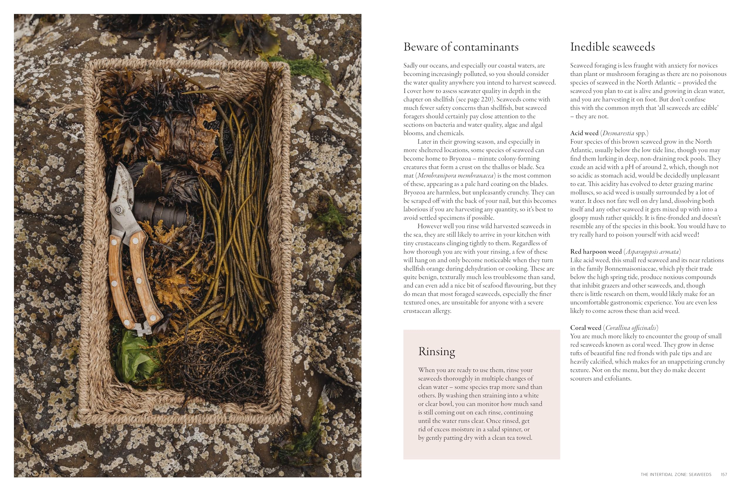 The Coastal Forager: Wild maritime food to preserve, cook, eat