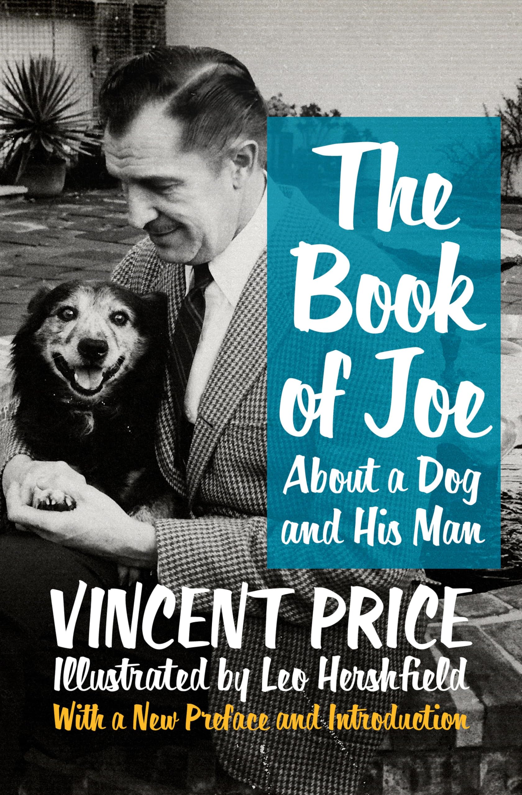 The Book of Joe: About a Dog and His Man