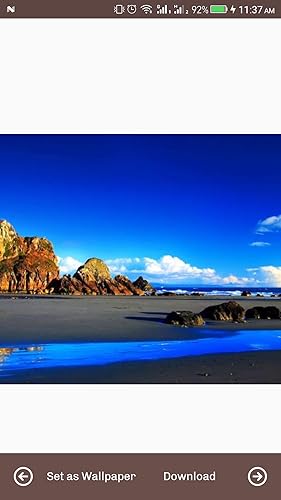 Nature Wallpaper
