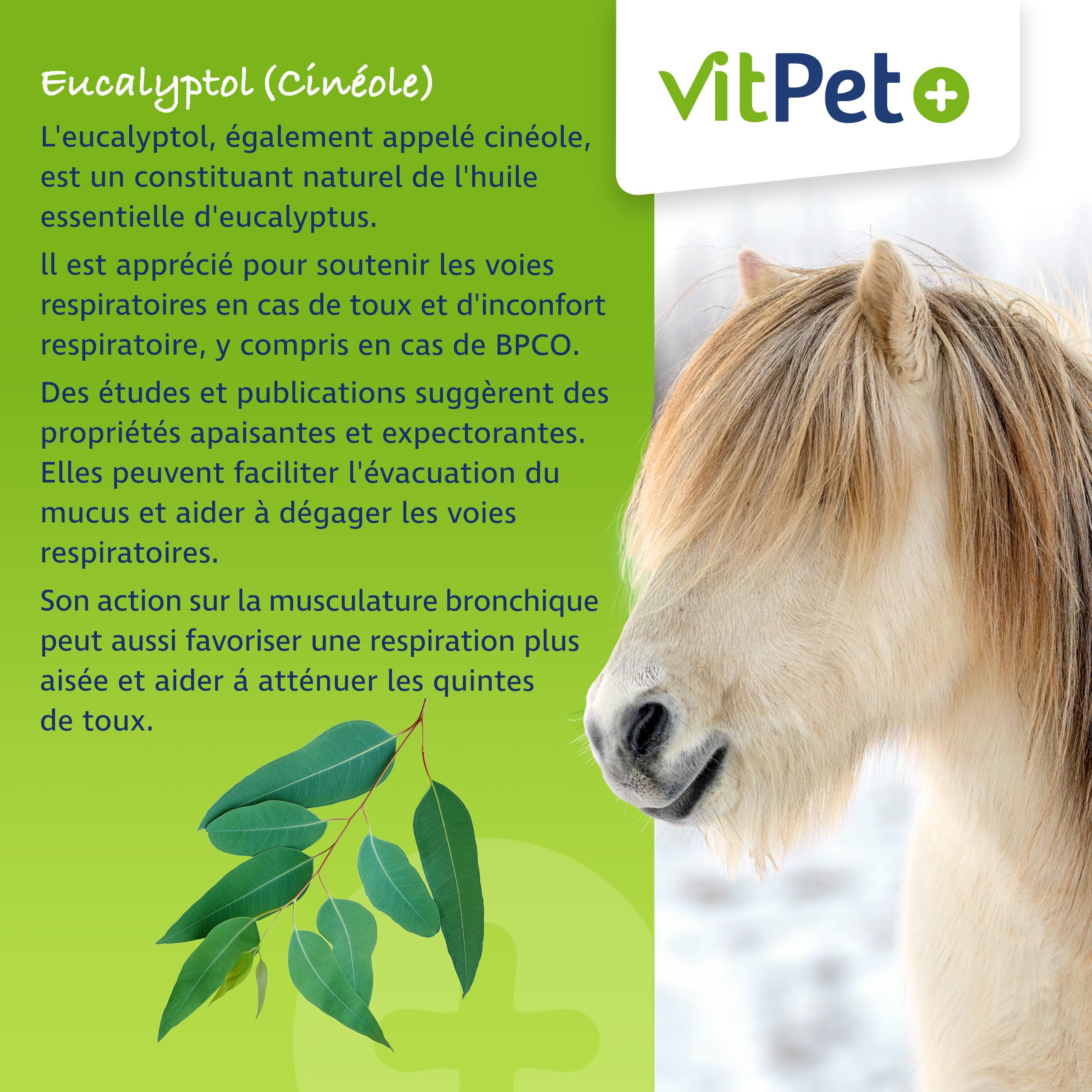 PneumoVit – Caballo para la tos – 1,2 kg – Con eucaliptol natural – Apoyo respiratorio e inmunológico – Facilita la expectoración – Expectorante y calmante