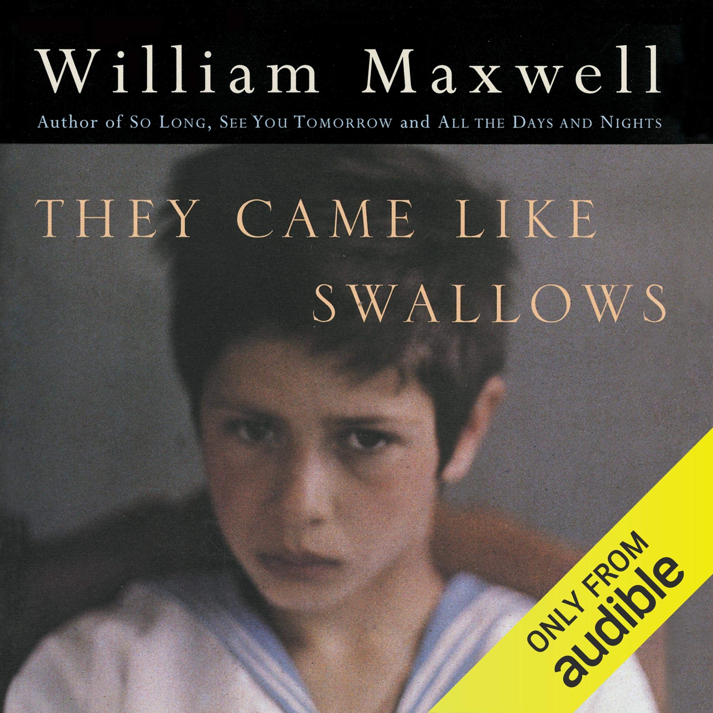 Cover art for They Came Like Swallows