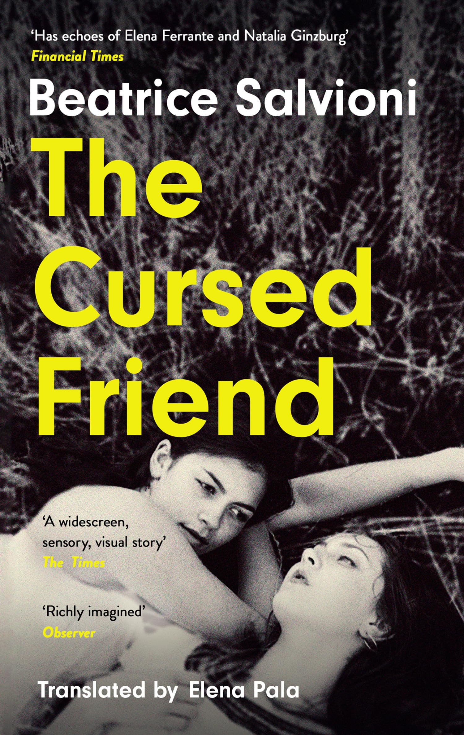The Cursed Friend: A thrilling debut novel and timeless tale of female friendship