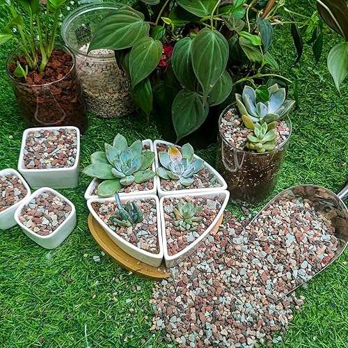 Miniatura 6 de Mezcla de rocas de lava de 18 libras para plantas, roca volcánica hortícola de lava para paisajismo drenaje, grava de roca de lava pequeña para