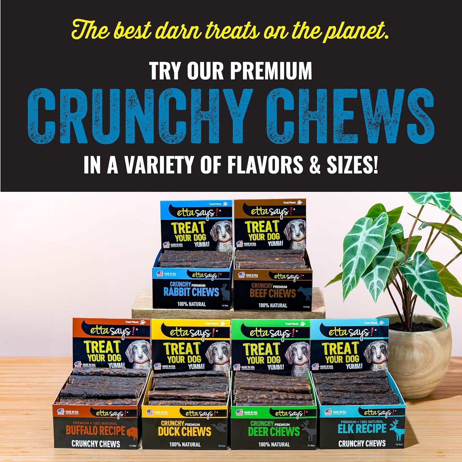 etta says! Premium Crunchy 4.5" Rabbit Dog Chews - Grain-Free Dog Treats, Good for Teeth, Easy to Digest - Made in The USA (36 Count Pack of 1)