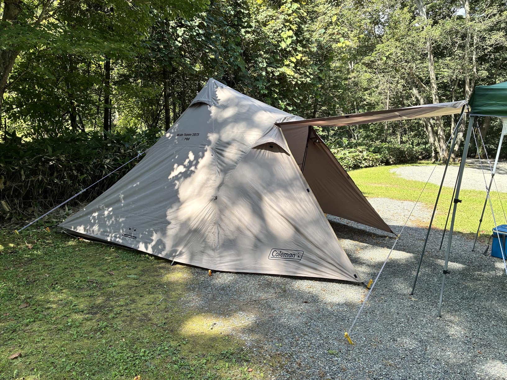 お客様イメージ