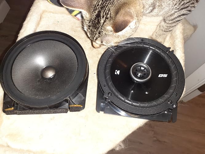 Review Image by Amazon Customer