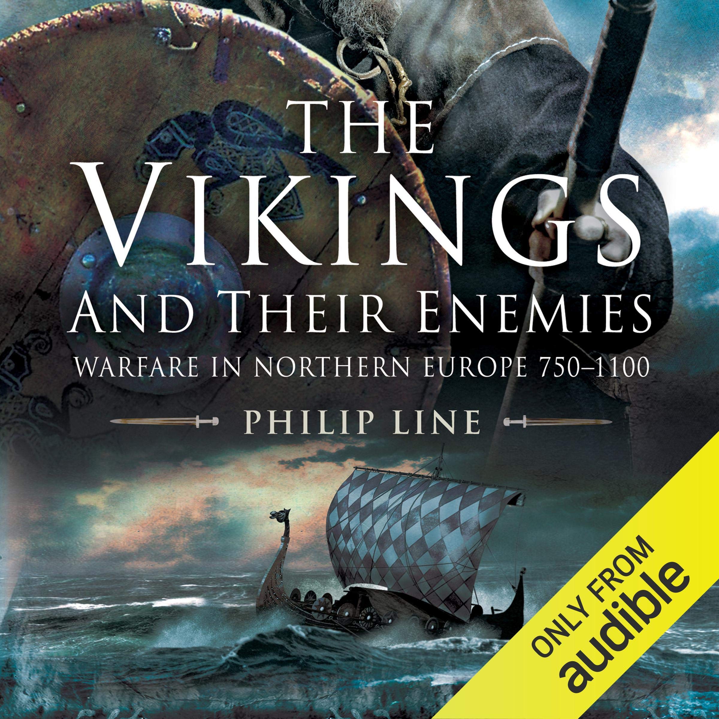 Cover art for The Vikings and Their Enemies