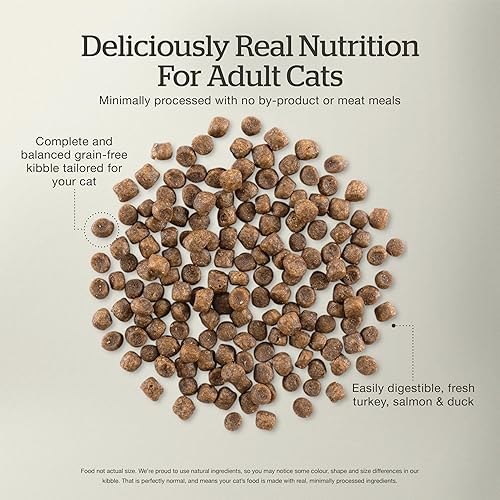 Miniatura 6 de Bundle of Now Fresh - Alimento para gatos sin granos, 3 libras, receta de comida seca para gatos adultos + comida para gatos Now Fresh sin granos, 8