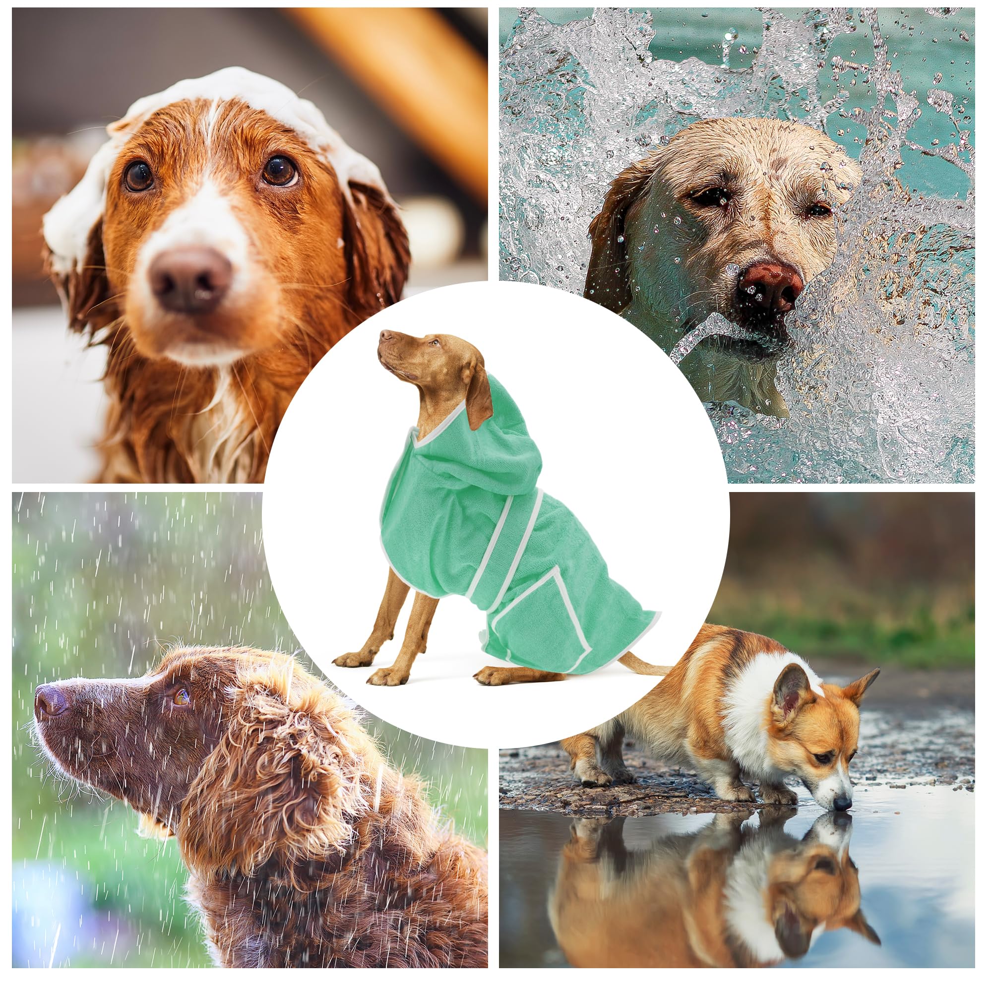 CAPASTEC Vestaglia con Cappuccio per Cani, Asciugamano per Animali Domestici, Asciugamano per Cani ad Asciugatura Rapida, XS, Verde