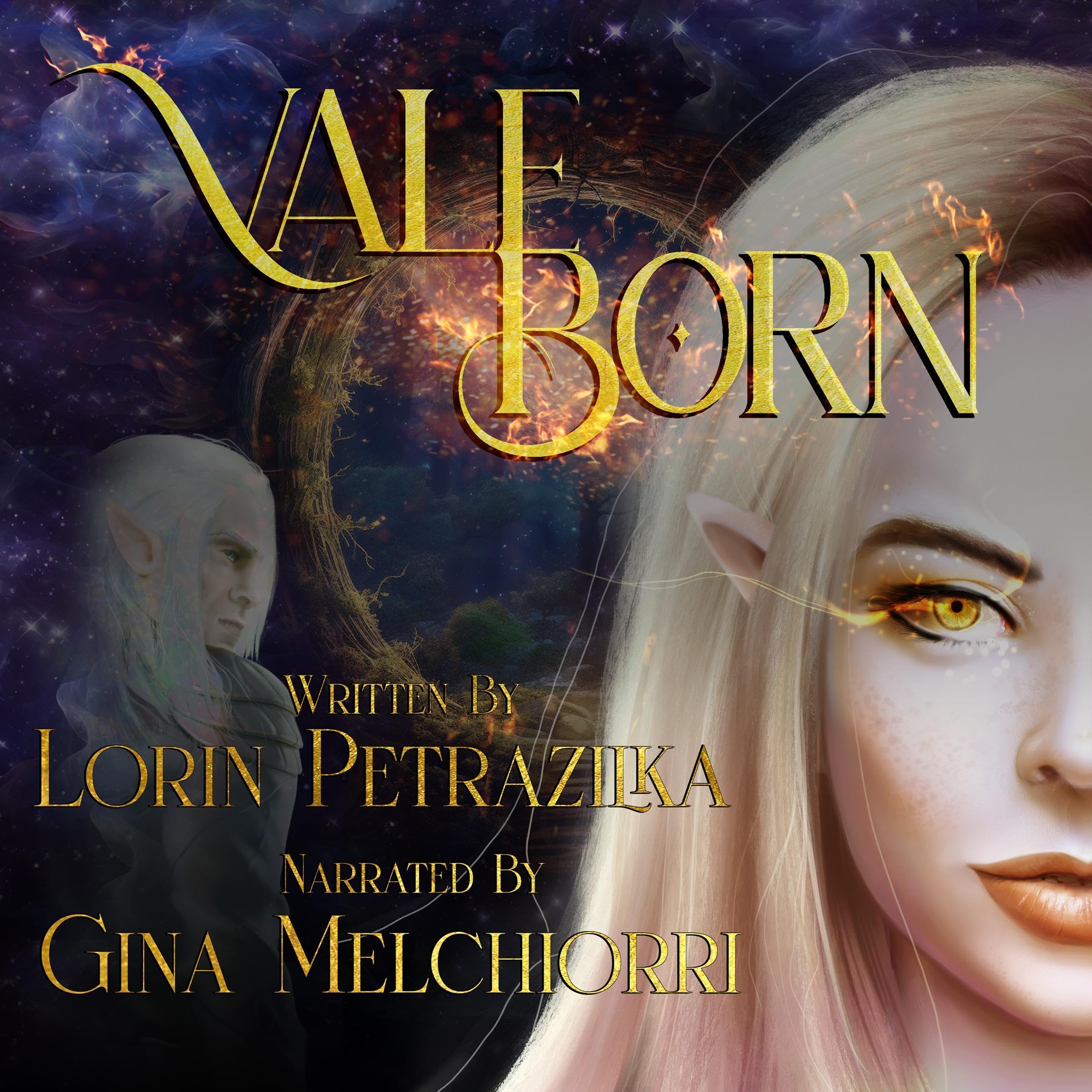 Cover art for Vale Born