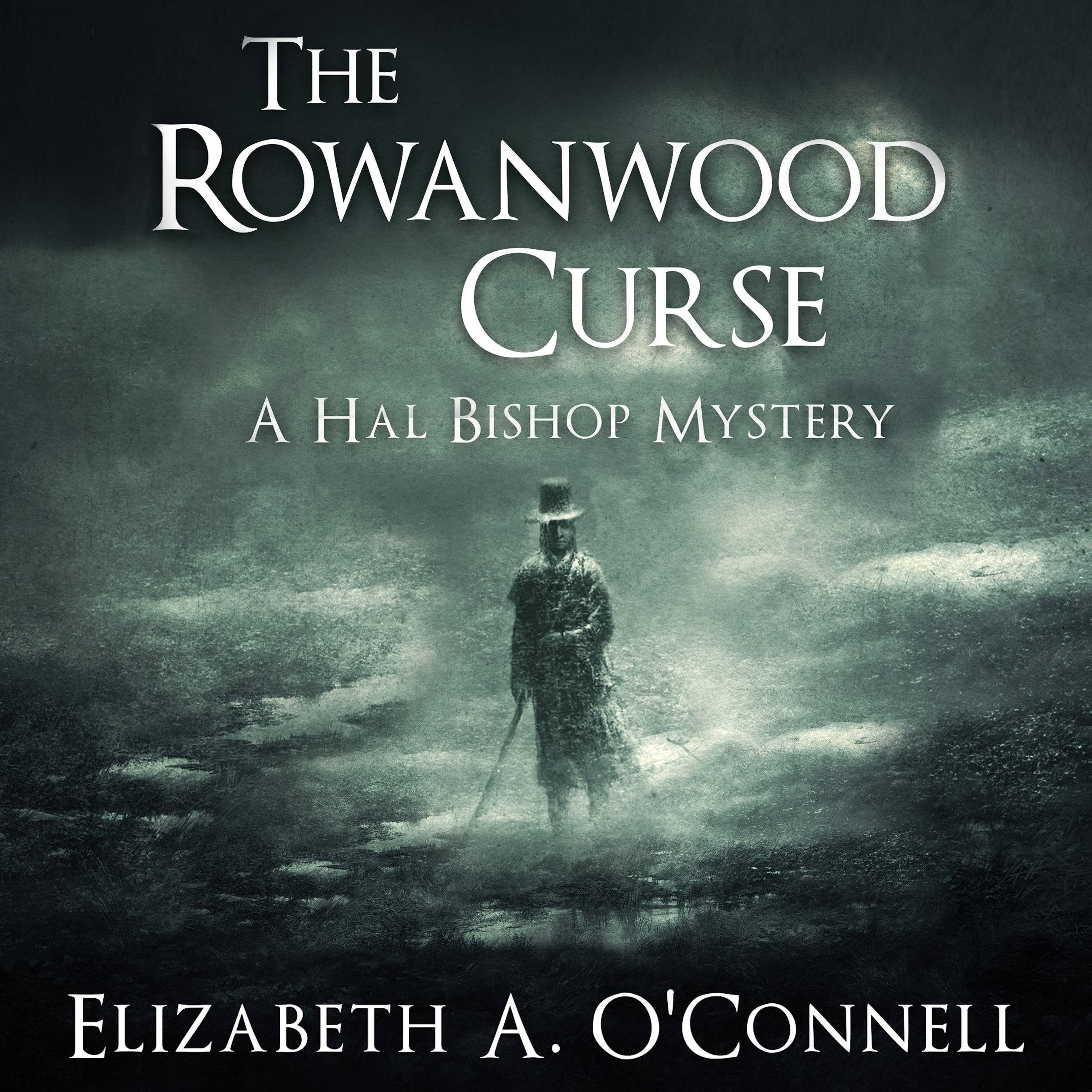 Cover art for The Rowanwood Curse