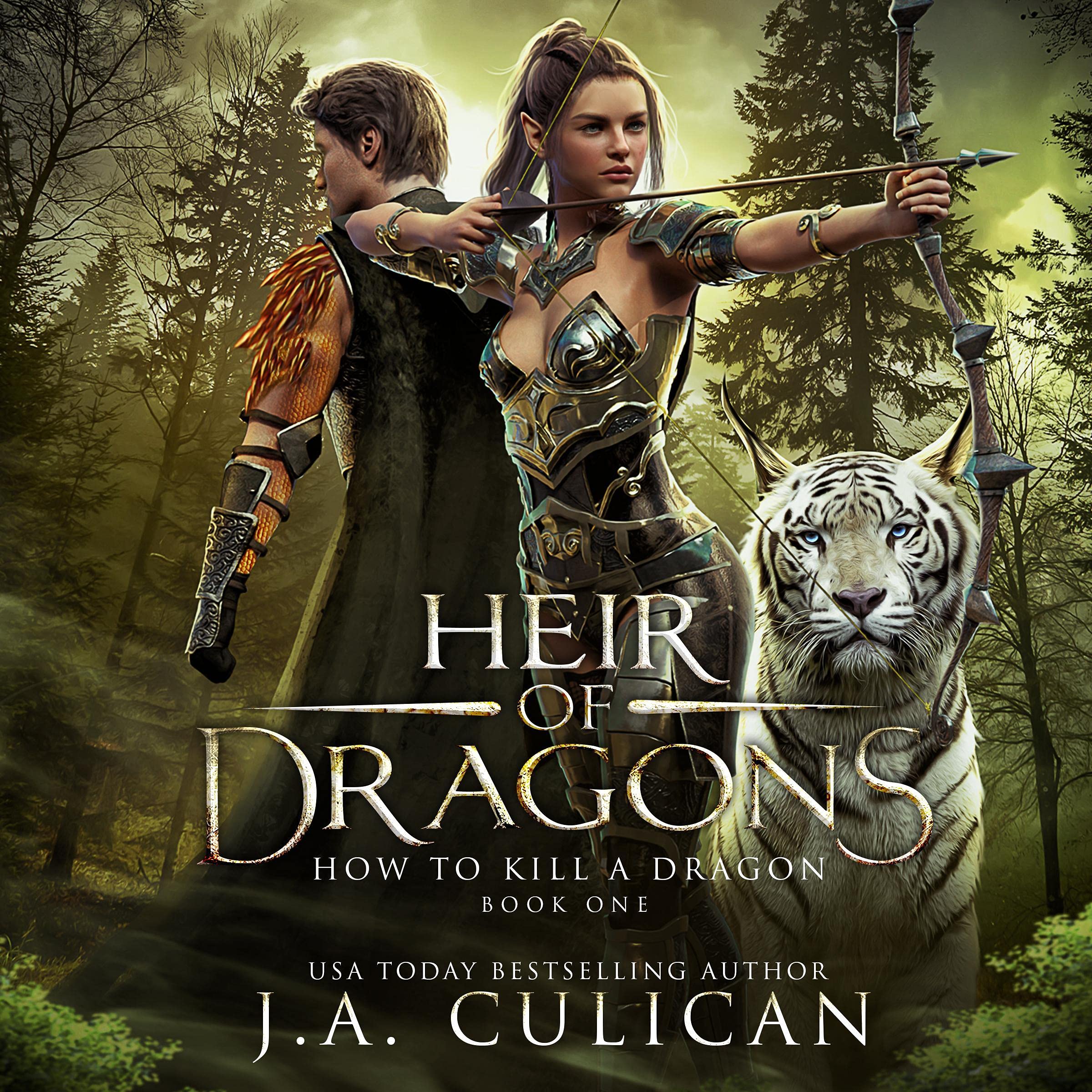 Cover art for How to Kill a Dragon