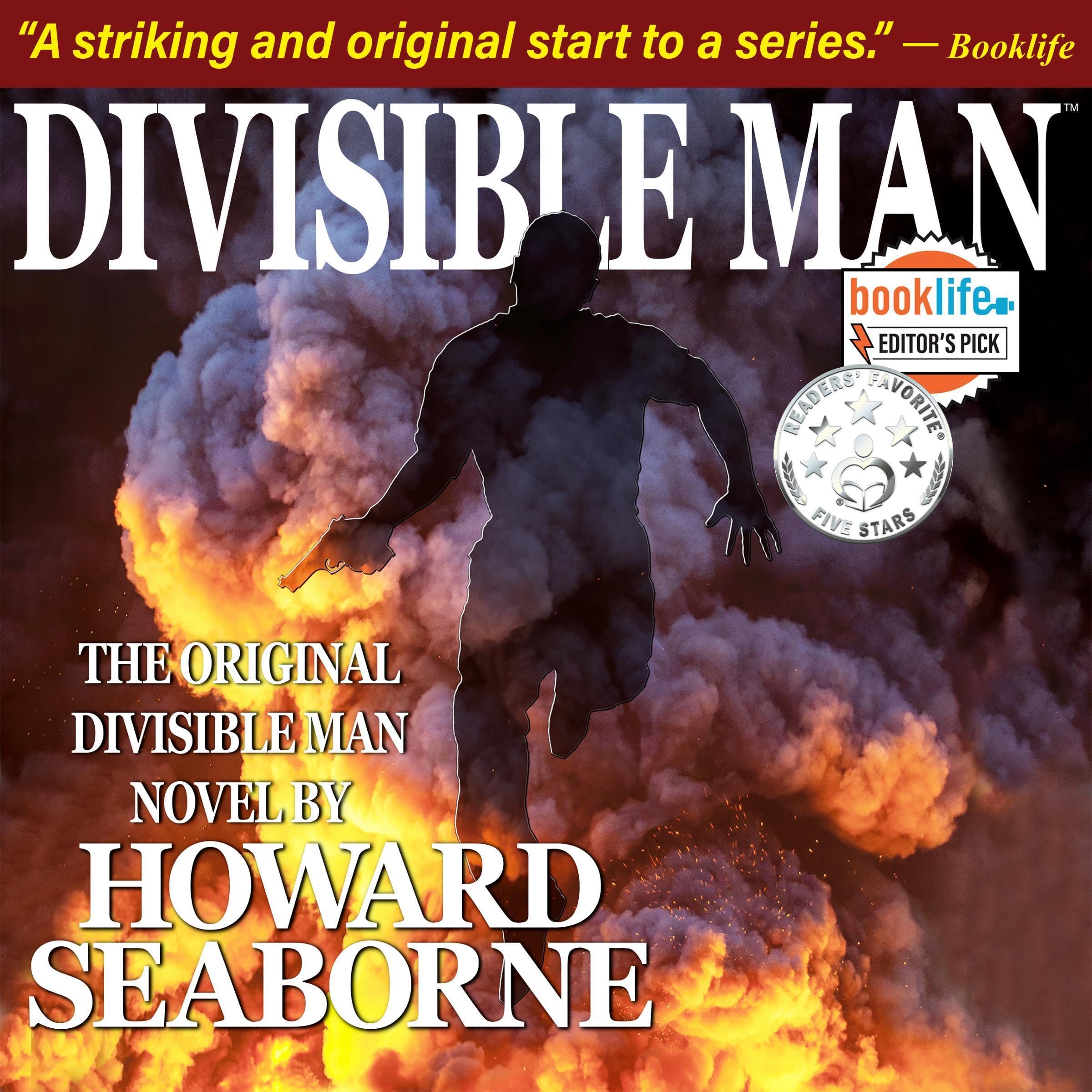 Cover art for Divisible Man