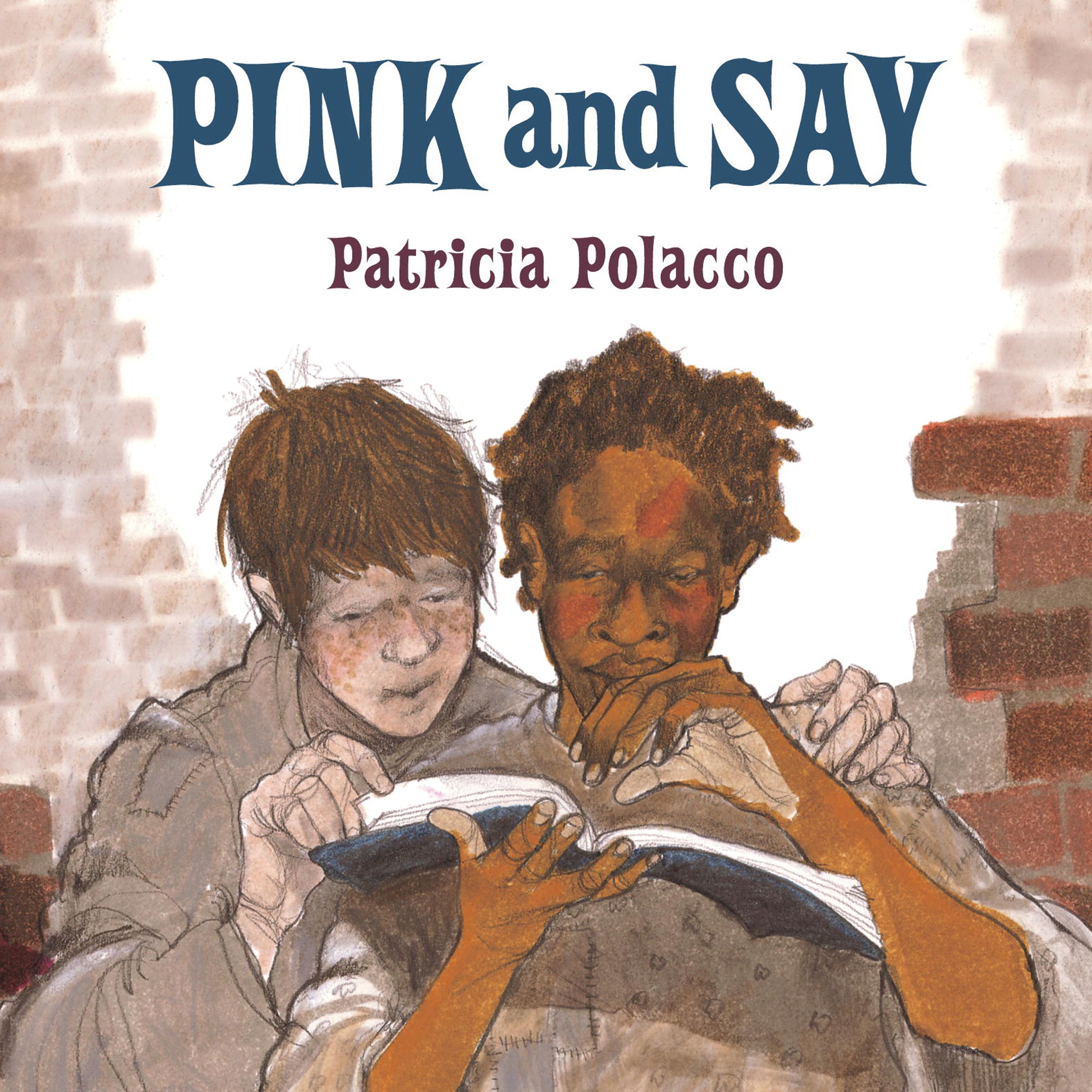 Cover art for Pink and Say