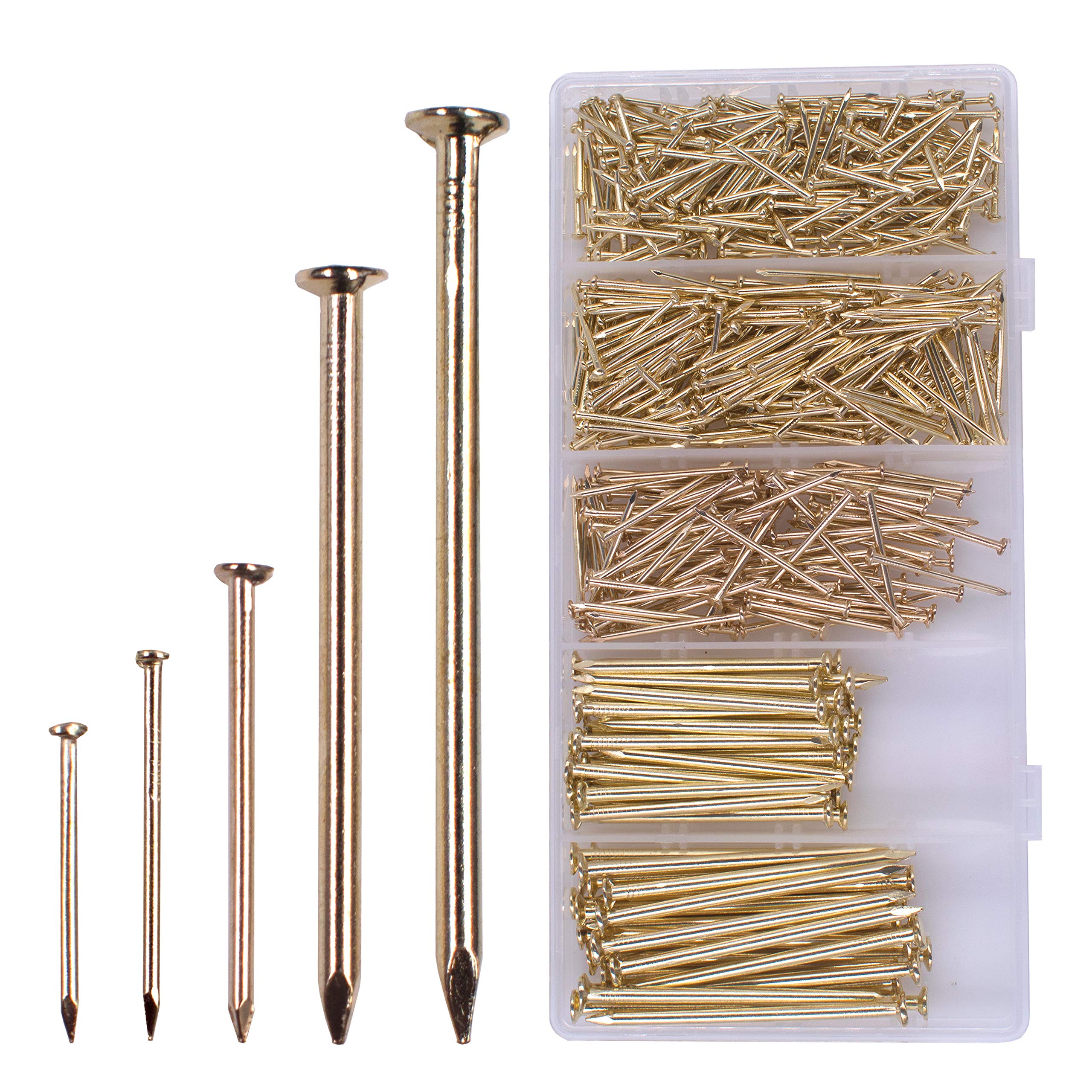 OMOTOOL Hardware Nail Assortment Kit (560pcs), Brass Plated Nails for Hanging Pictures and Woodworking, 5 Size Assortment