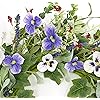 Product Photo 5
