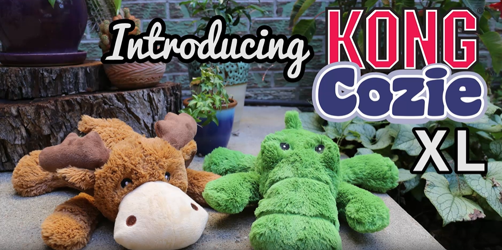 KONG Cozie Ali The Alligator Toy KONG Cozie ALI THE ALLIGATOR Dog Toy   Medium, Green, 3-Pack For Fun Playtime KONG Cozie Dog Toy