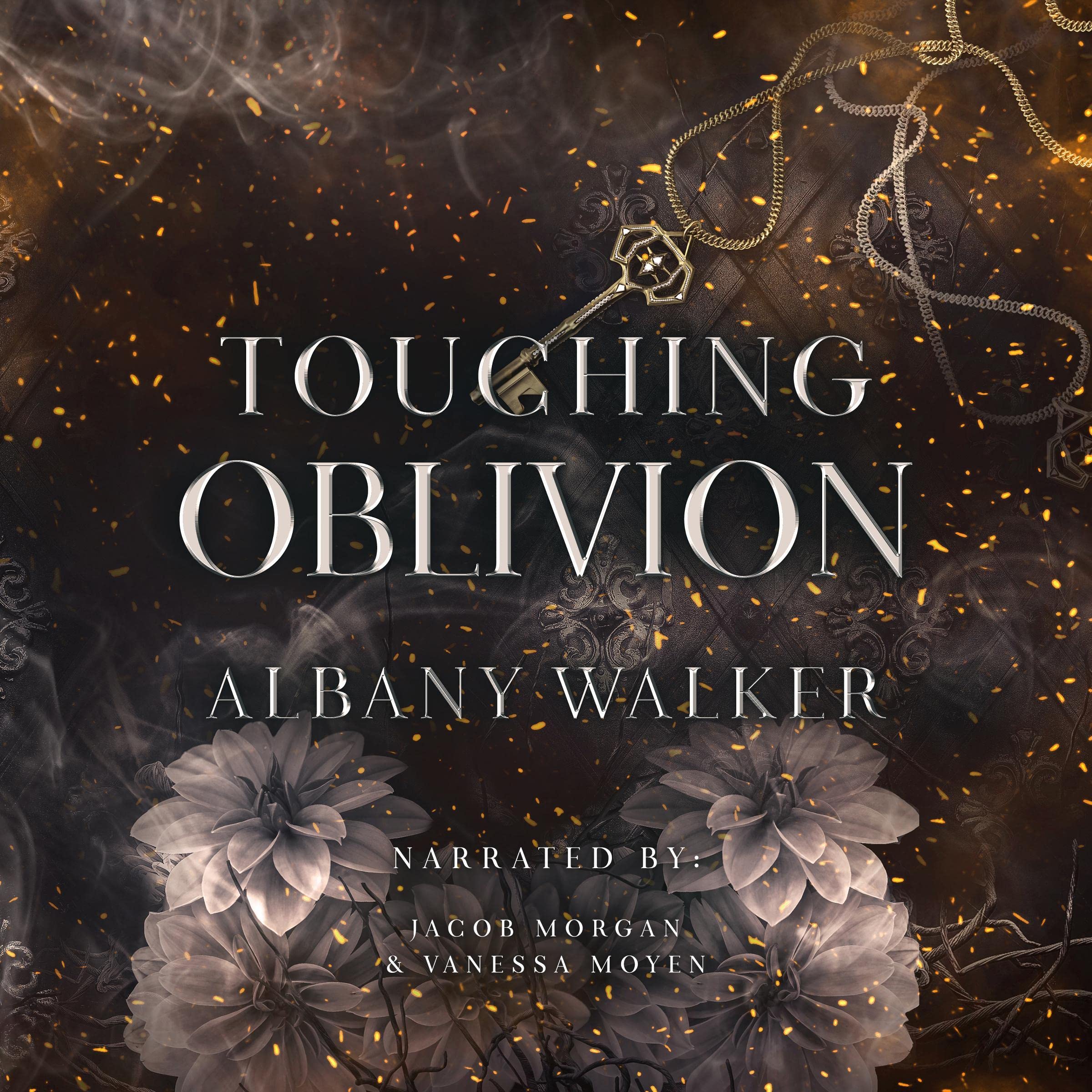 Cover art for Touching Oblivion