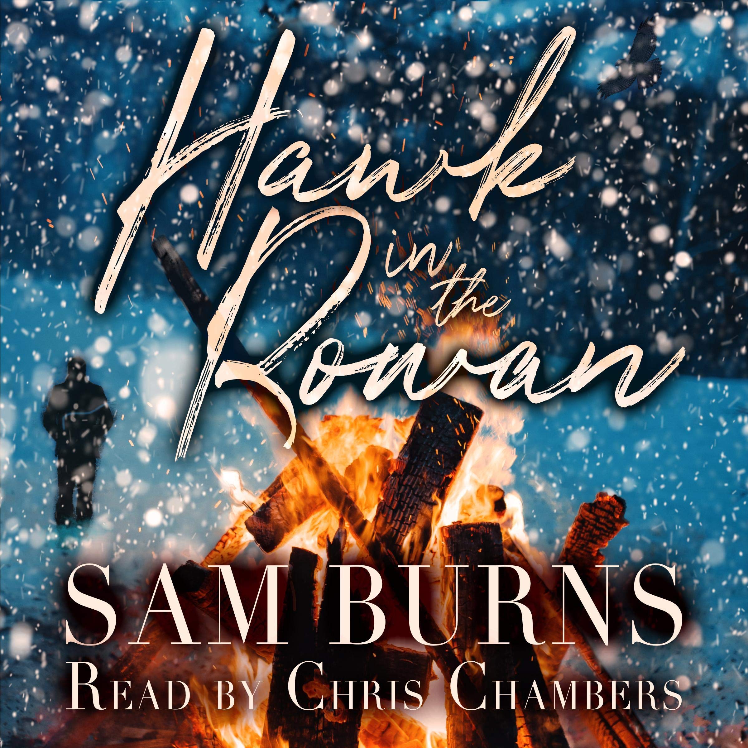 Cover art for Hawk in the Rowan