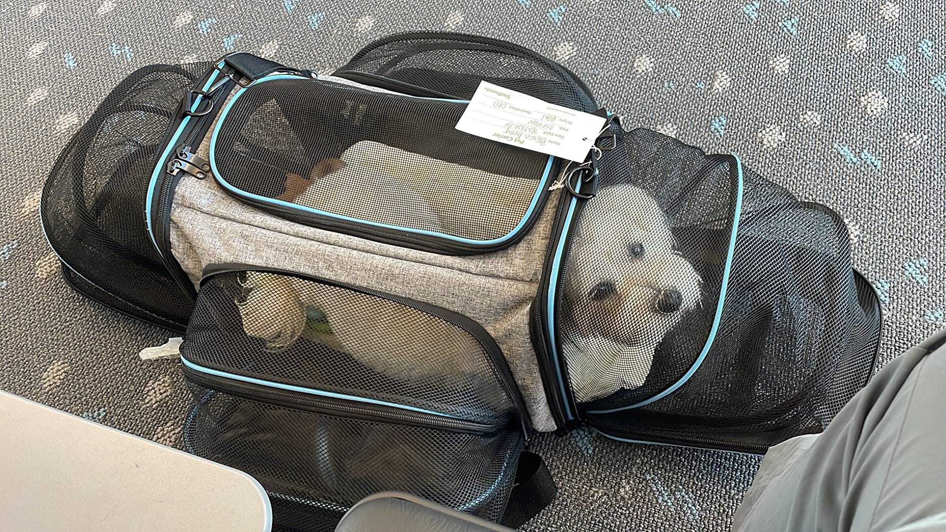 10/mo Finance Maskeyon Airline Approved Pet Carrier, Large Soft