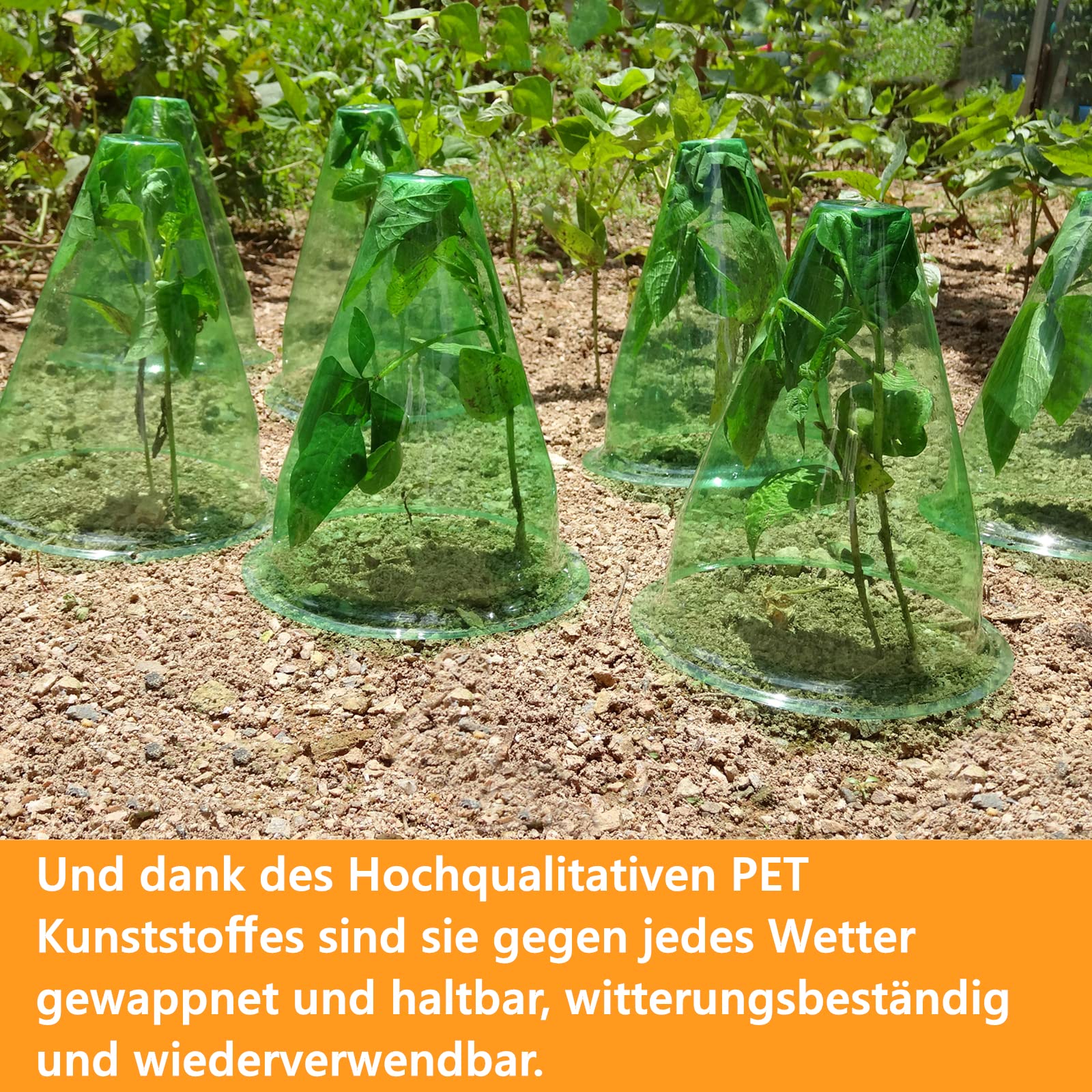 【24 Piezas】 Sombrero para Plantas, Conos para Plantas, Cuello de Caracol, Cubierta para Planta de Ensalada para Proteger Contra Pájaros, Caracoles, Heladas o Climatología, Diámetro de 20cm (24 Piezas)
