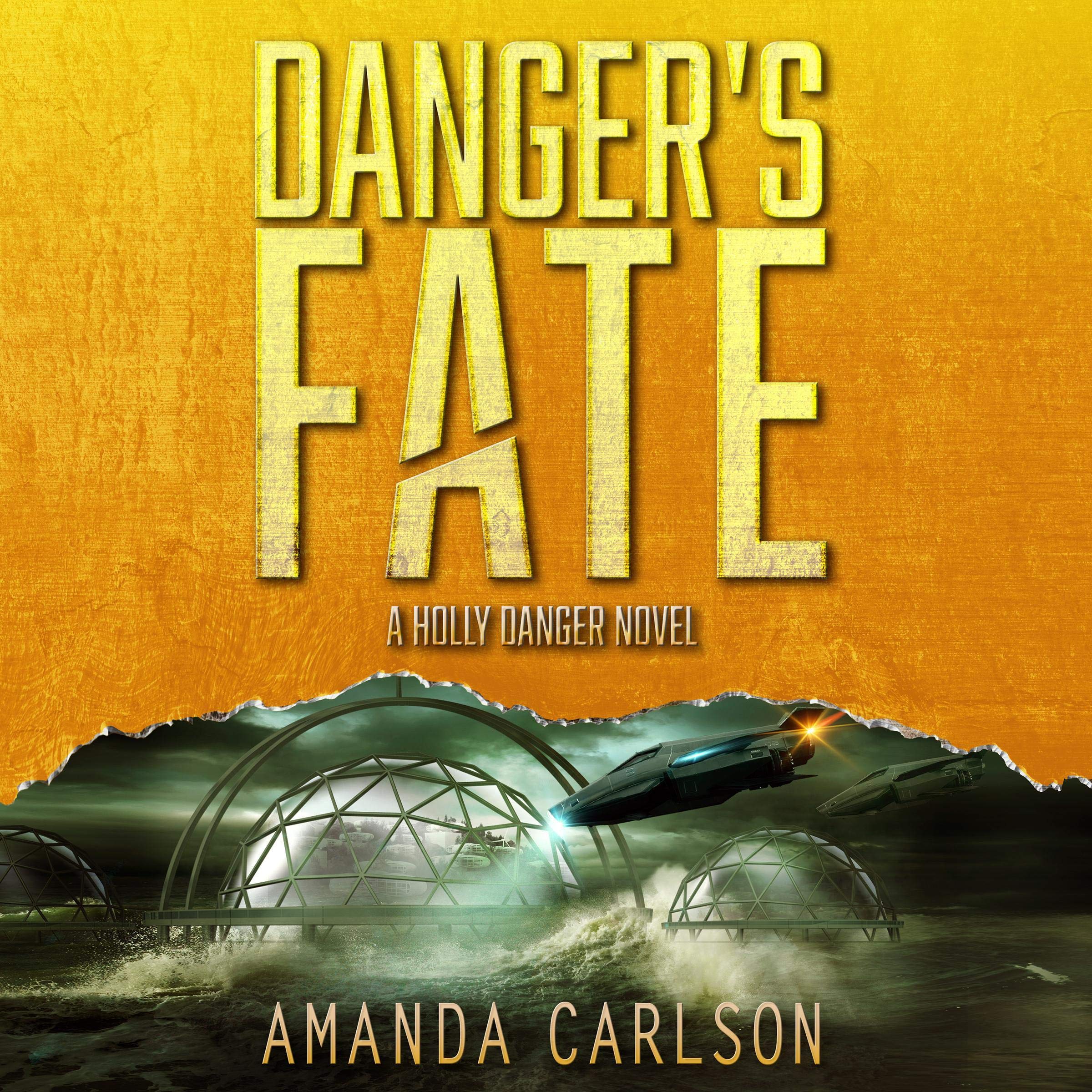 Cover art for Danger's Fate