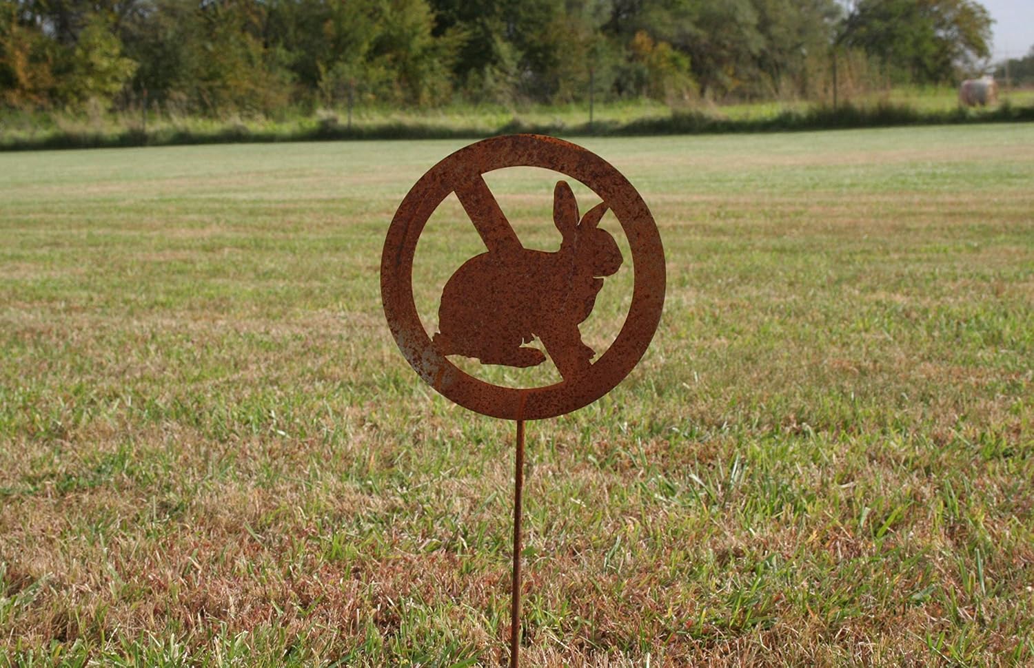 No Rabbits Allowed Bunny Prevention Rustic or Powder Coated Garden Stake 22 Inches Tall or Wall Sign 9 Inches (Staked Sign 21" Tall, Naturally Rusted)