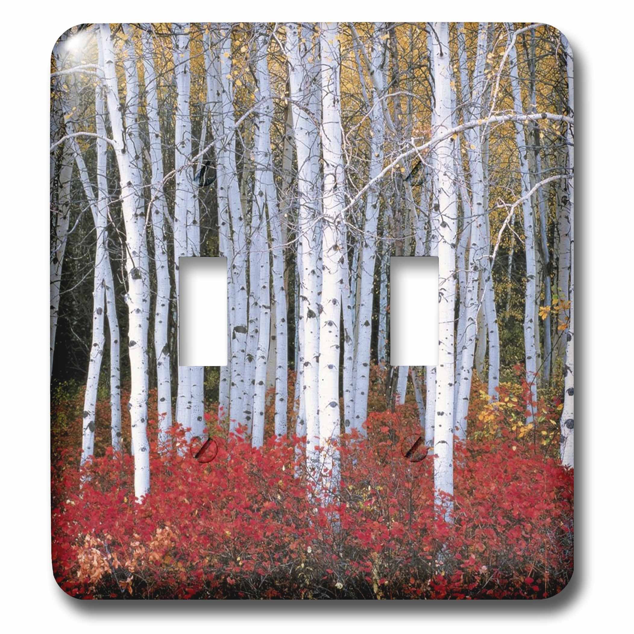 Aspen Forest in Utah double interrupteur plaque murale décorative pour rénovation
