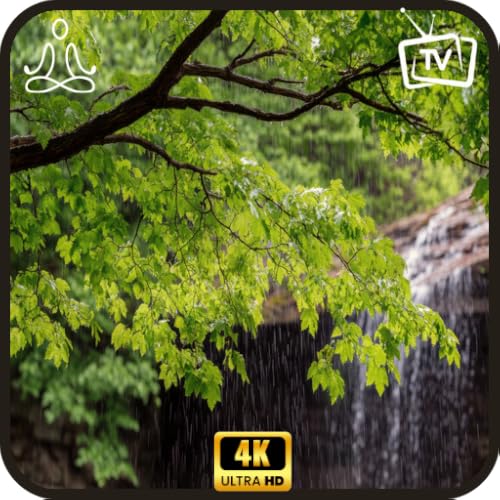 Pluie printanière en forêt - Aide au sommeil à la télévision
