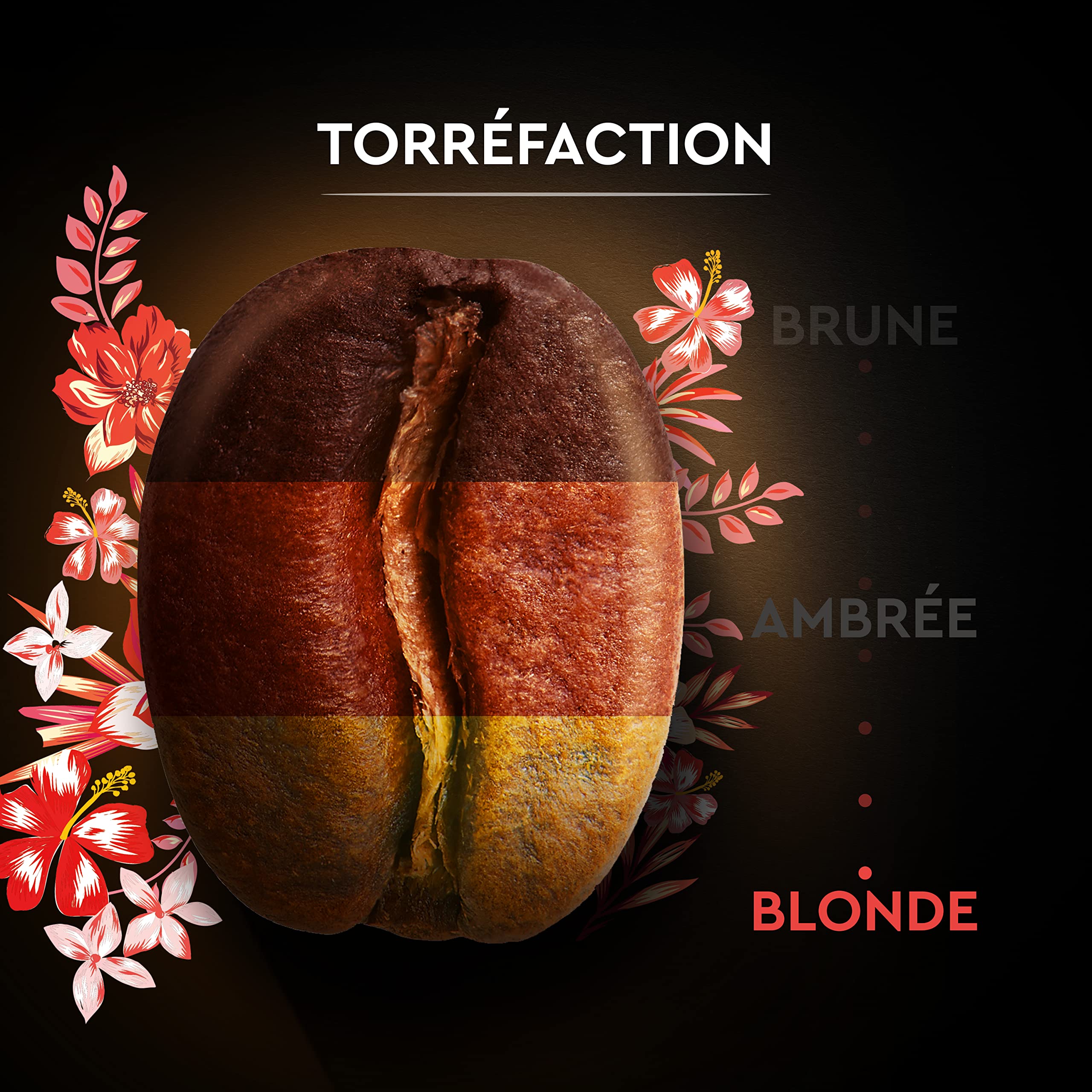Carte Noire - Grains bio Honduras - Paquet de 1 kg